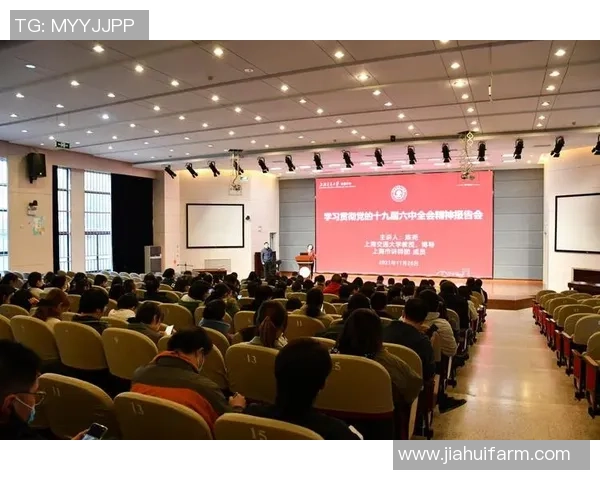 上海羽毛球队的团队协作精神与成功之道探讨