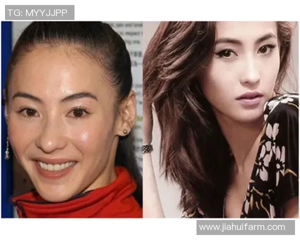 专访网球明星陈娜揭秘她成功背后的心路历程与训练秘诀