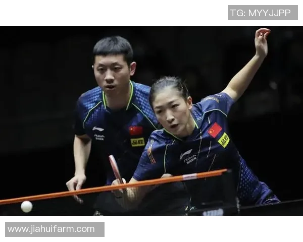 上海羽毛球队反击之路:得失间的成长与挑战分析