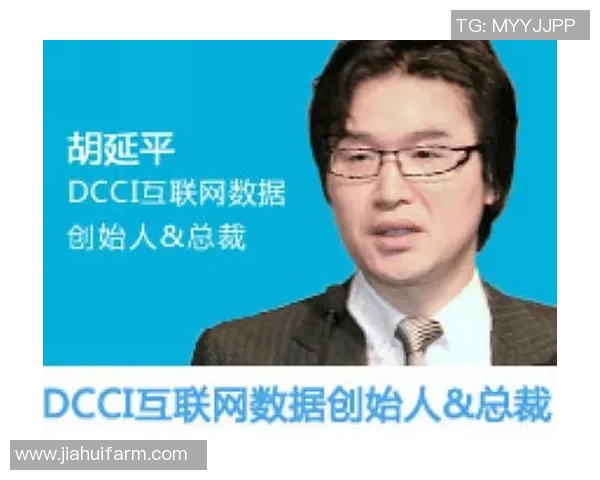 北京排球队的战术解析与控制能力深度探讨