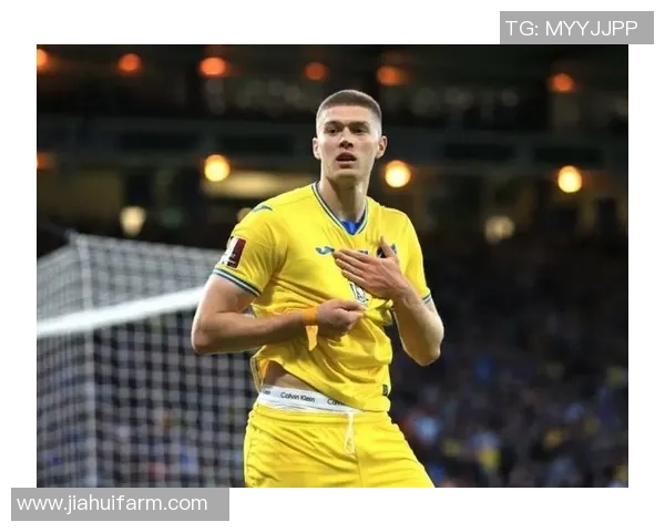 乌克兰足球明星的辉煌历程与成就解析