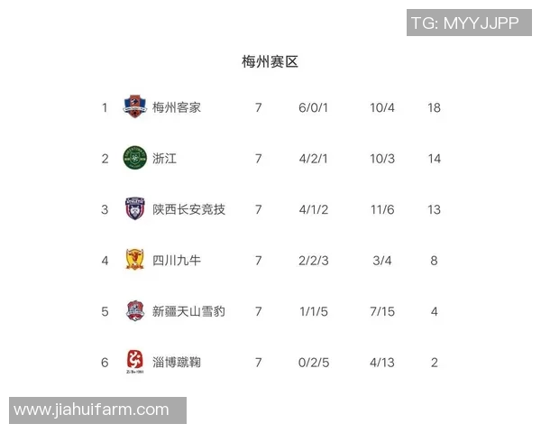 北京篮球队强势领跑挑战赛积分榜目前积分达到55分