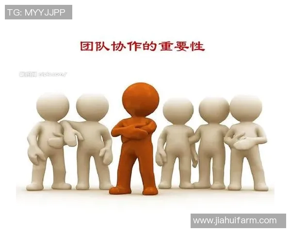 北京网球队的整体压制与战术深度解析探秘网球竞技的背后策略与团队协作