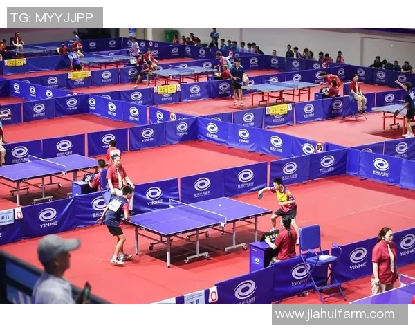 武汉乒乓球队在世界锦标赛上的技术表现深度解析与点评