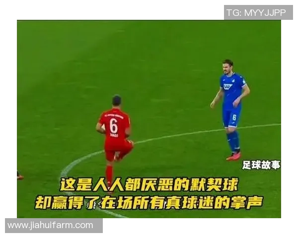 重庆排球队配合问题引发热议球迷对战术和默契的不同看法 重庆排球队配合问题引发热议球迷对战术和默契的不同看法