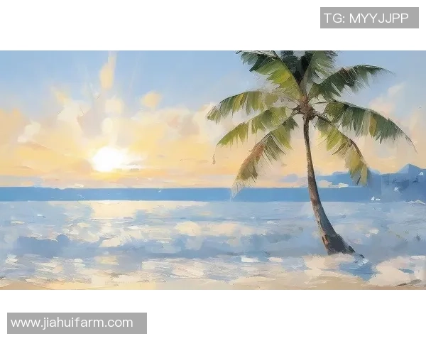 在海边畅享足球乐趣感受阳光沙滩与激情碰撞的完美结合