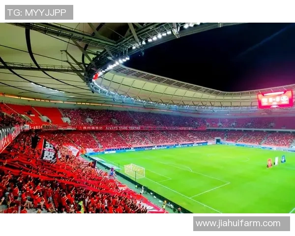 吃瓜足球热潮来袭球迷们的欢乐时光与精彩赛事的完美结合