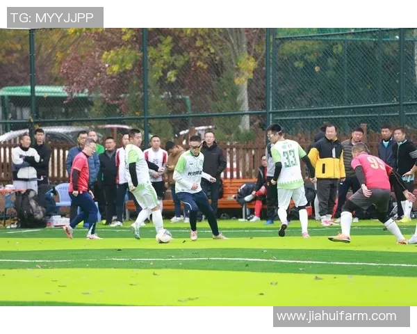 山东足球盛宴即将开启球迷热情高涨期待精彩对决