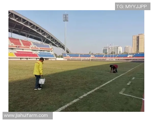 成都足球队在世锦赛中的崛起与成长历程全景回顾