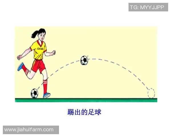 实用踢足球技巧分享提高球技的有效方法与训练建议