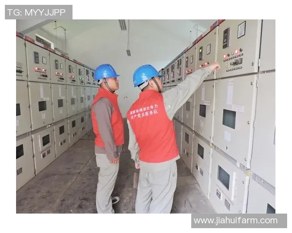 武汉滑板队比赛经验深度对比与分析探讨