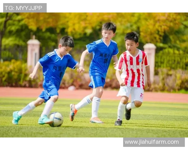 欢乐足球a特训组合助力孩子们快乐成长与足球梦想的完美结合