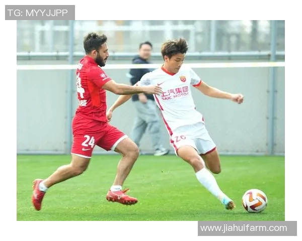 武汉飞盘队比赛经验引发热议球员表现与战术选择成焦点讨论