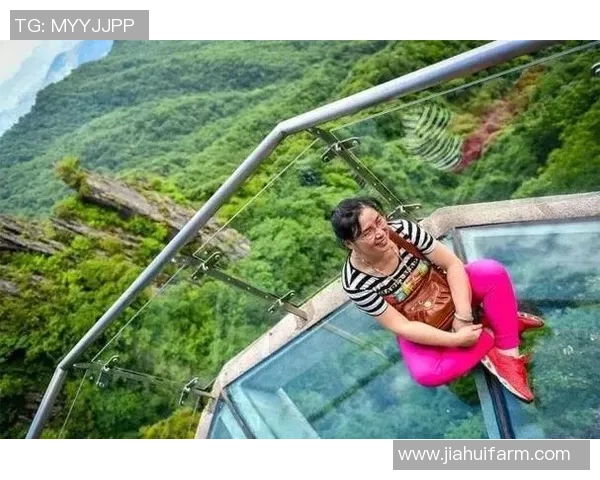 西安攀岩队速度对比深度解析与训练策略探讨