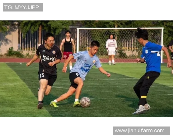 足球书生的梦想与追求在绿茵场上的激情与坚持 足球书生的梦想与追求在绿茵场上的激情与坚持