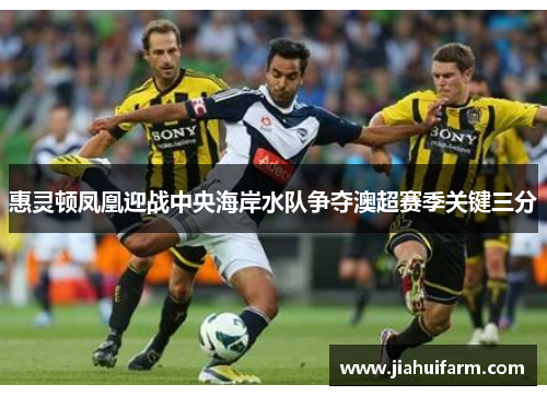 惠灵顿凤凰迎战中央海岸水队争夺澳超赛季关键三分