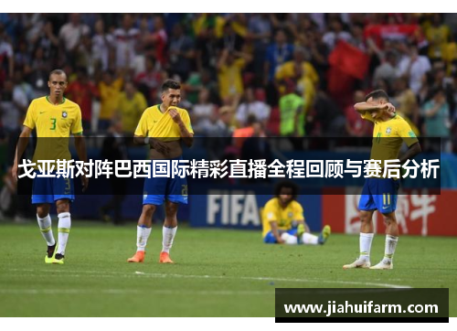 戈亚斯对阵巴西国际精彩直播全程回顾与赛后分析