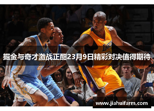 掘金与奇才激战正酣23月9日精彩对决值得期待