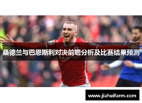桑德兰与巴恩斯利对决前瞻分析及比赛结果预测